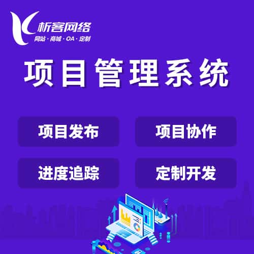 泰安项目管理系统
