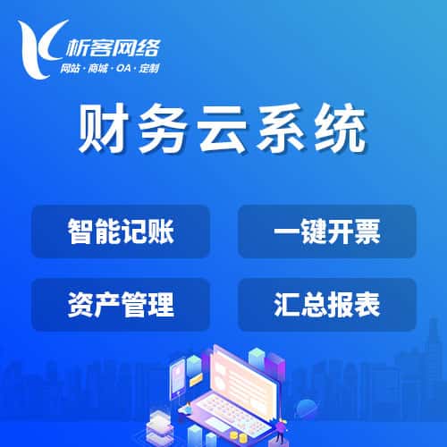 泰安财务云系统