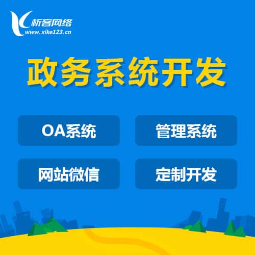 泰安政务系统开发