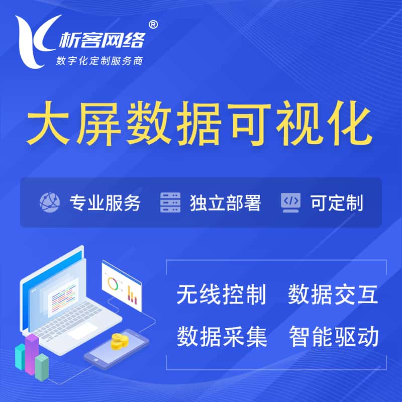 泰安大屏互动数据可视化 | 数据大屏系统