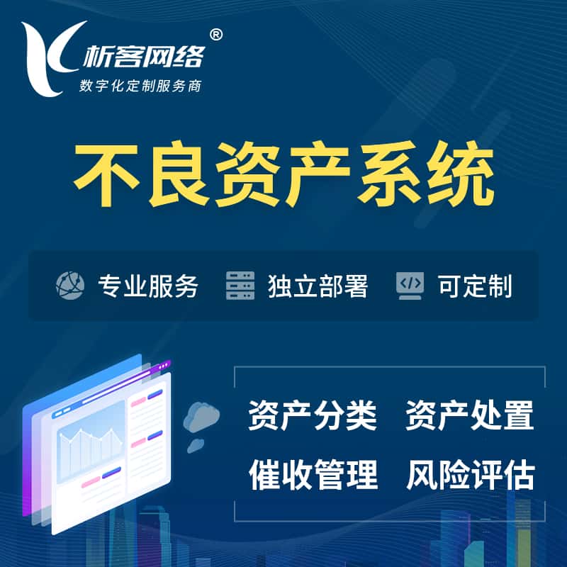 泰安不良资产管理系统