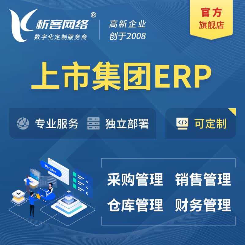 泰安上市集团ERP软件生产MES车间管理系统